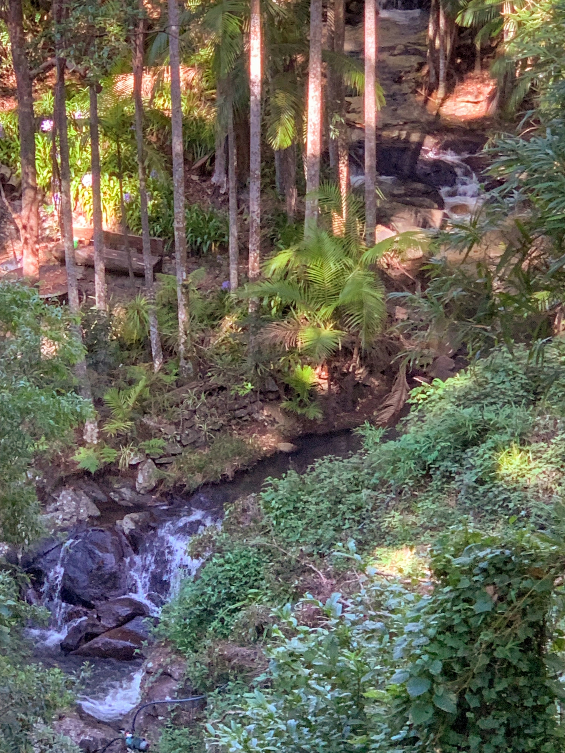 33 Kinabalu Drive, TAMBORINE MOUNTAIN