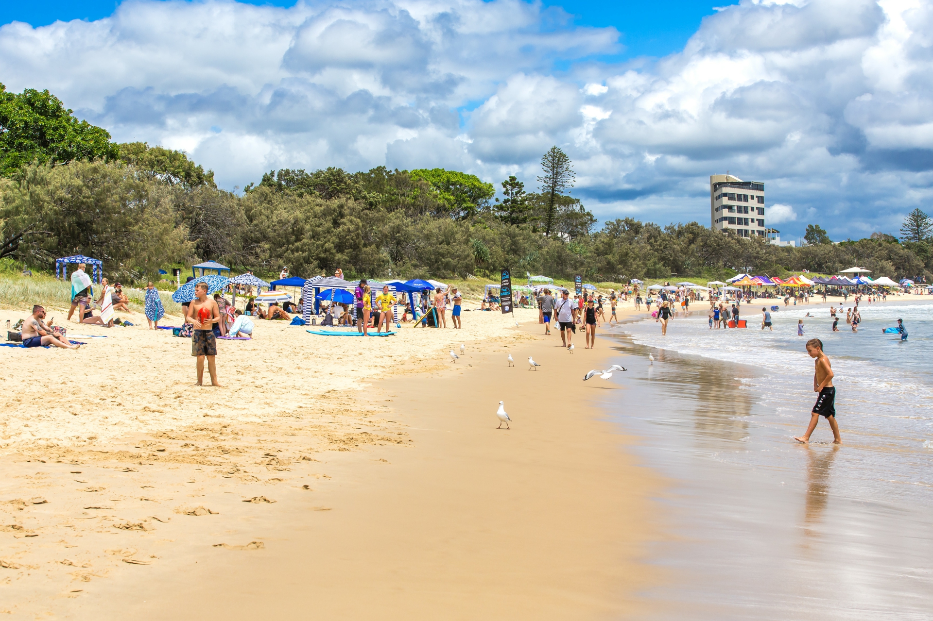 4/63 Neerim Drive, MOOLOOLABA