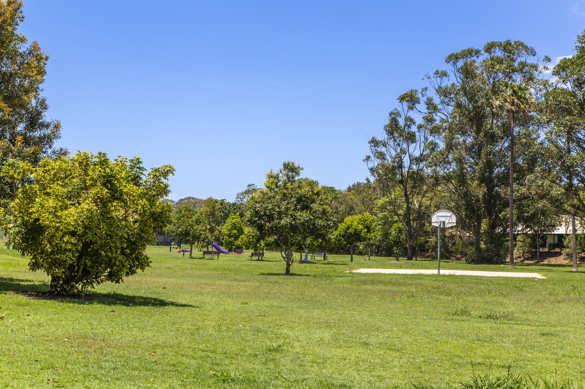 15 Attenborough Close, BUDERIM
