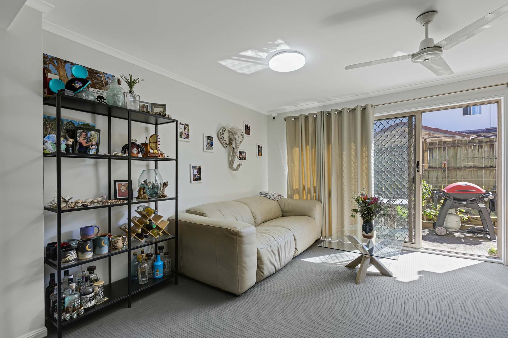 13/7 Evans Street — photo 3 of 14