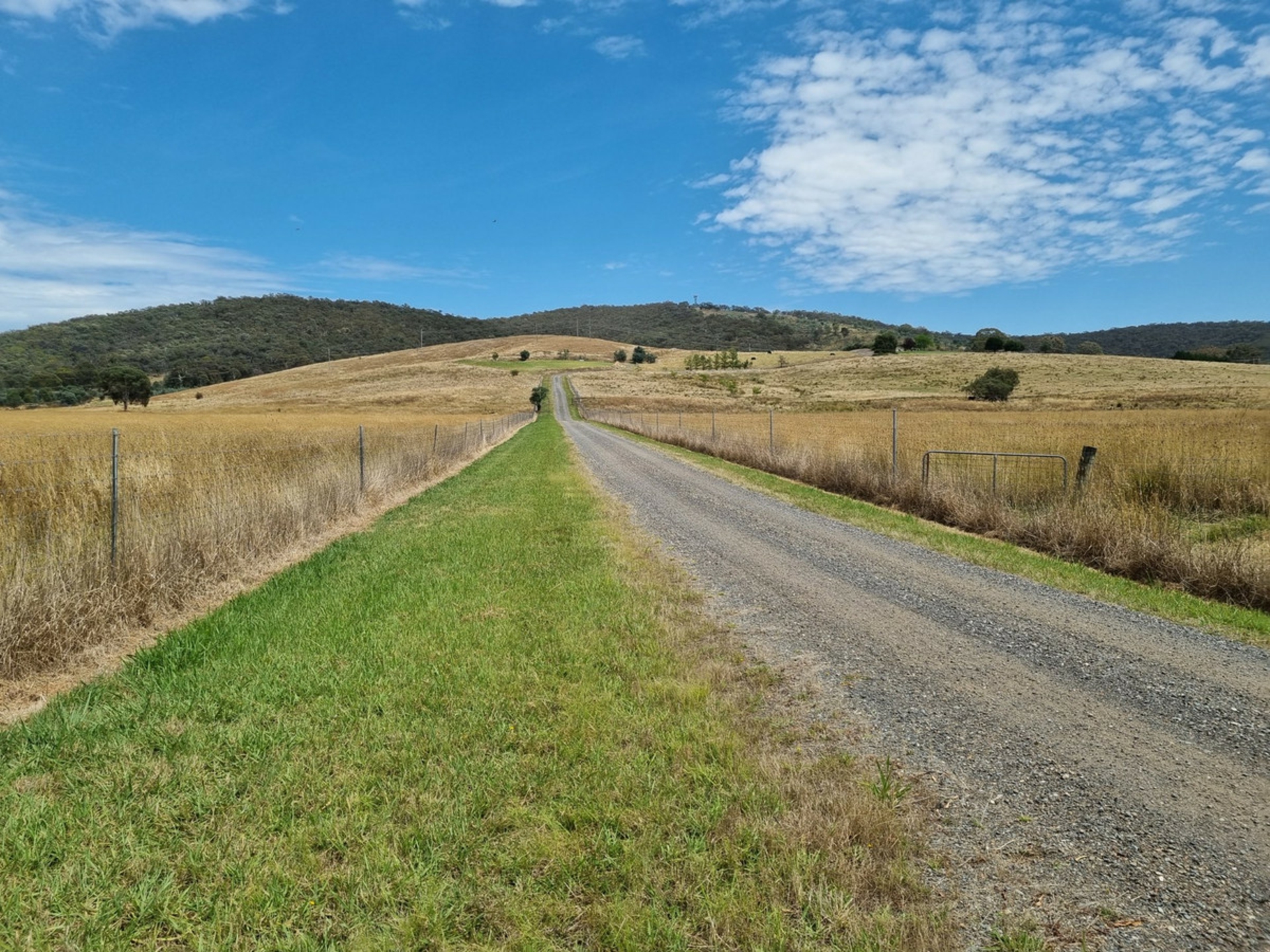 1497 Sutton Road — photo 7 of 27