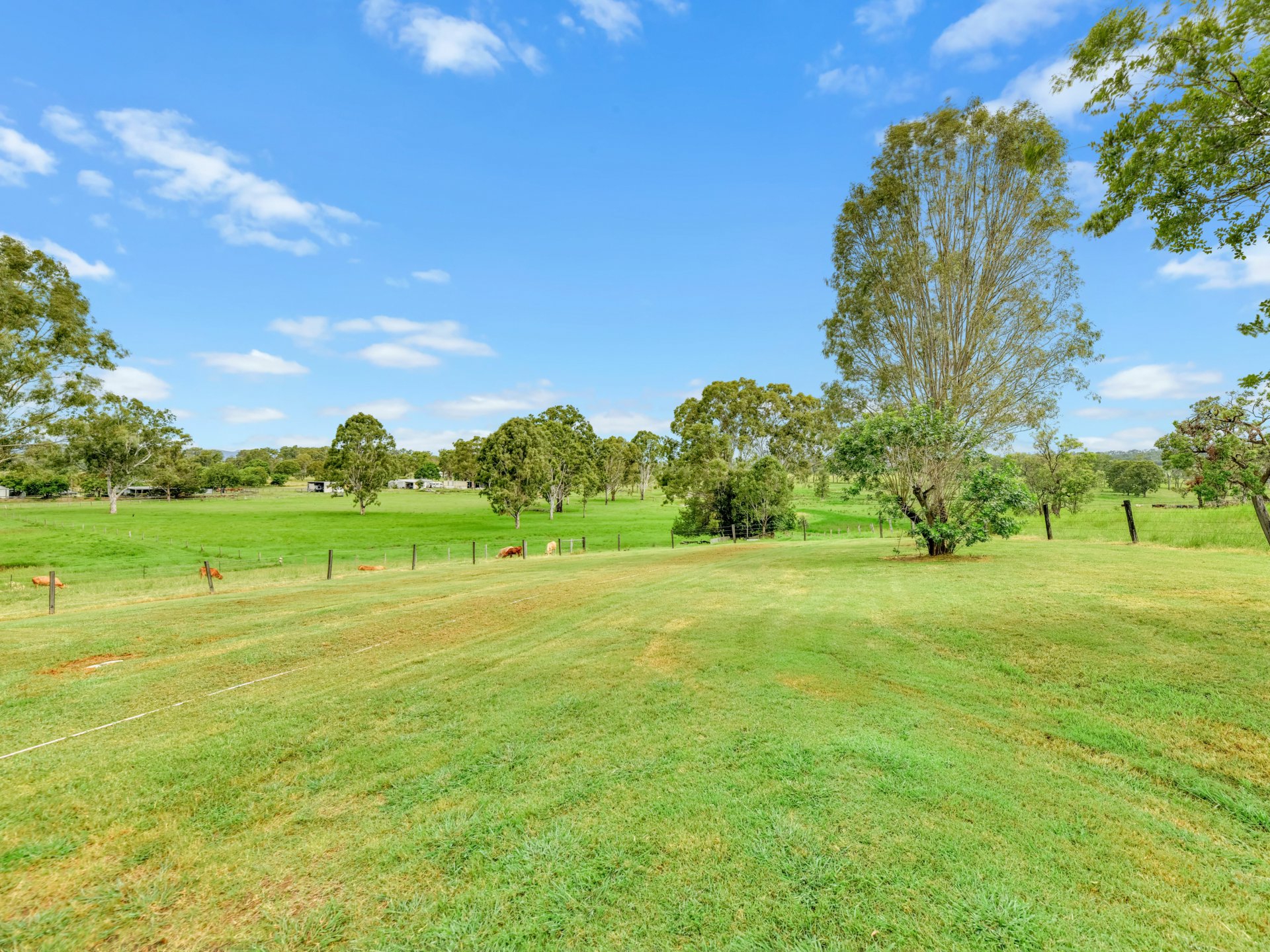49 Penola Road Allenview QLD House for Sale LJ Hooker