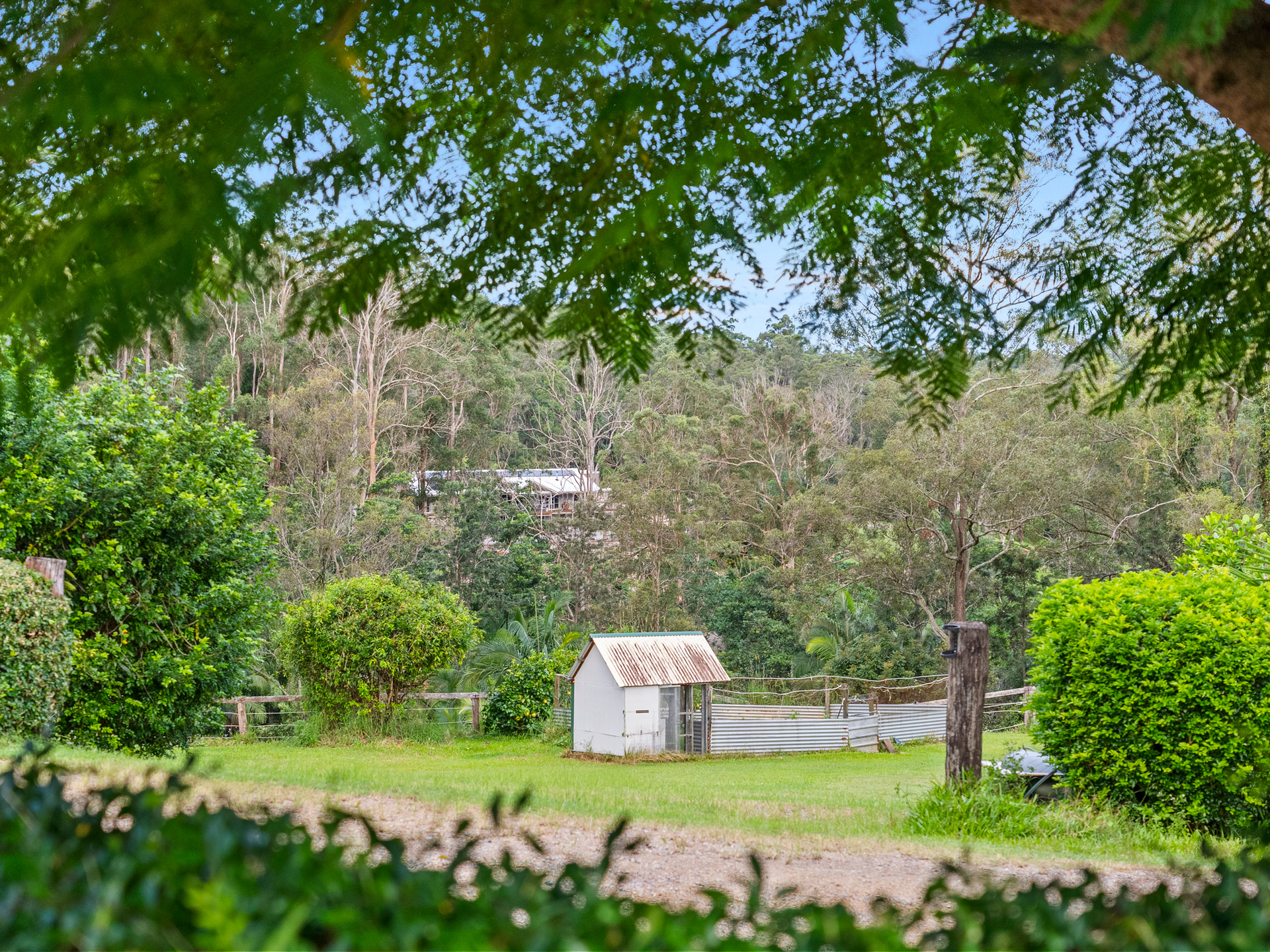 156 Candy Creek Road, GUANABA