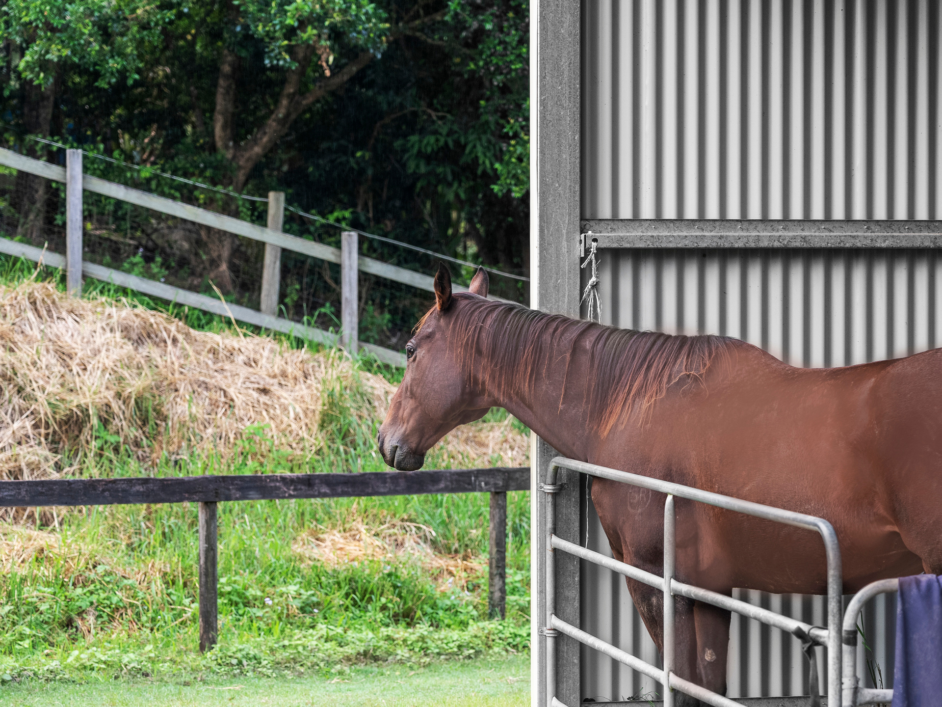 156 Candy Creek Road, GUANABA