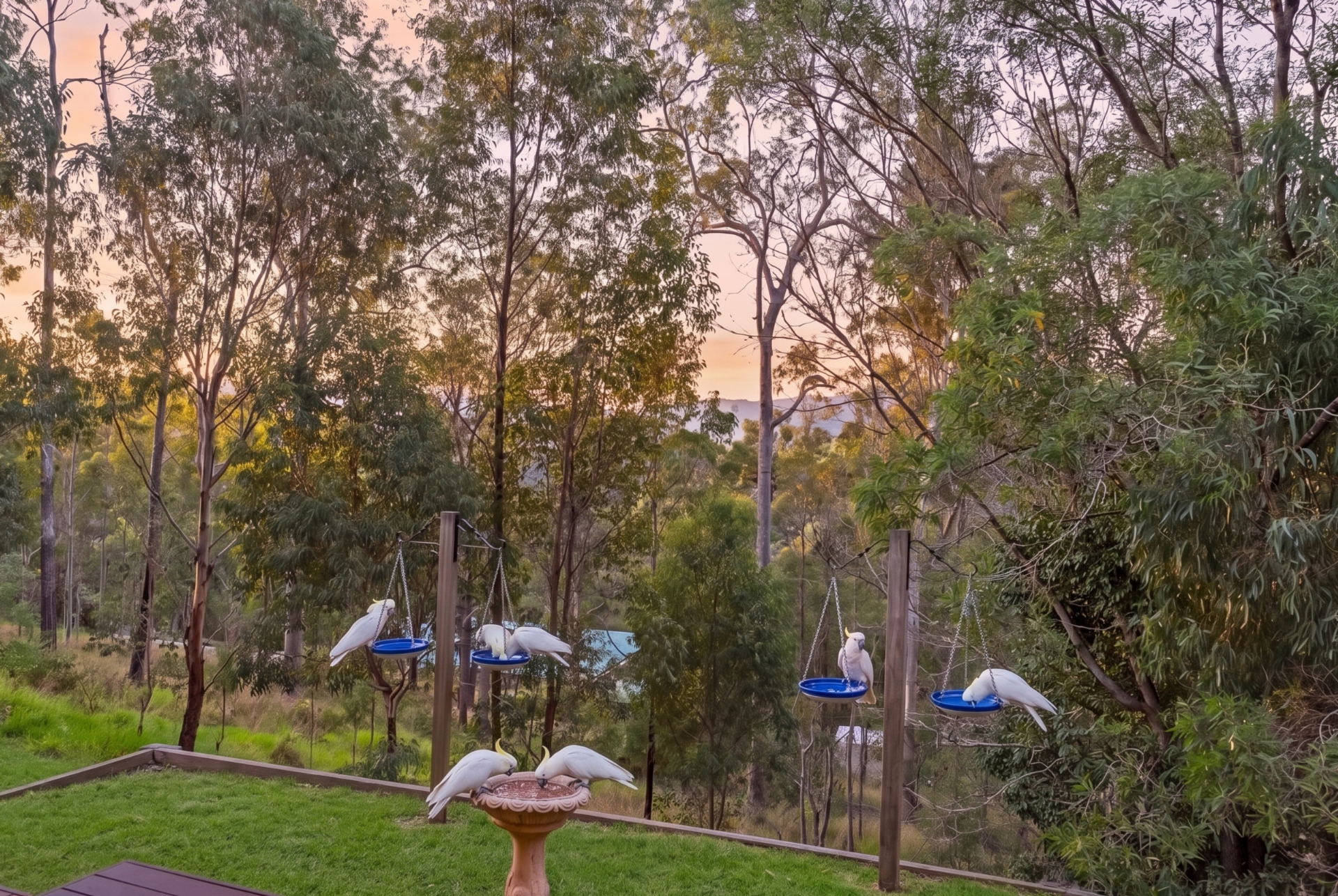 65 Pinnacle Drive — photo 17 of 20