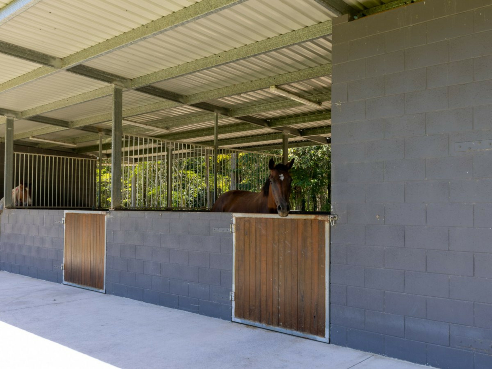 2038 Old Gympie Road, GLASS HOUSE MOUNTAINS