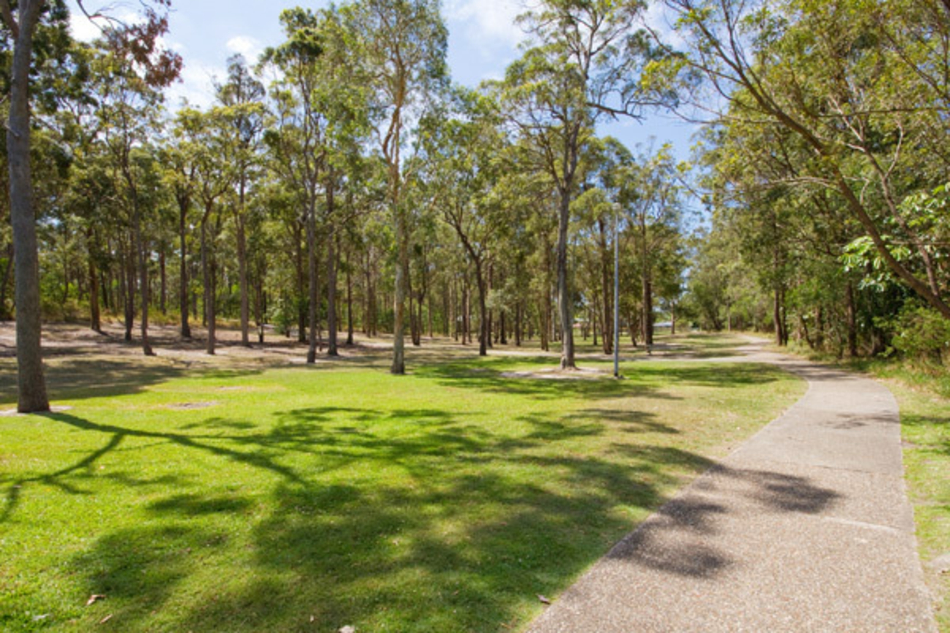 42 Parasol Street, ASHMORE