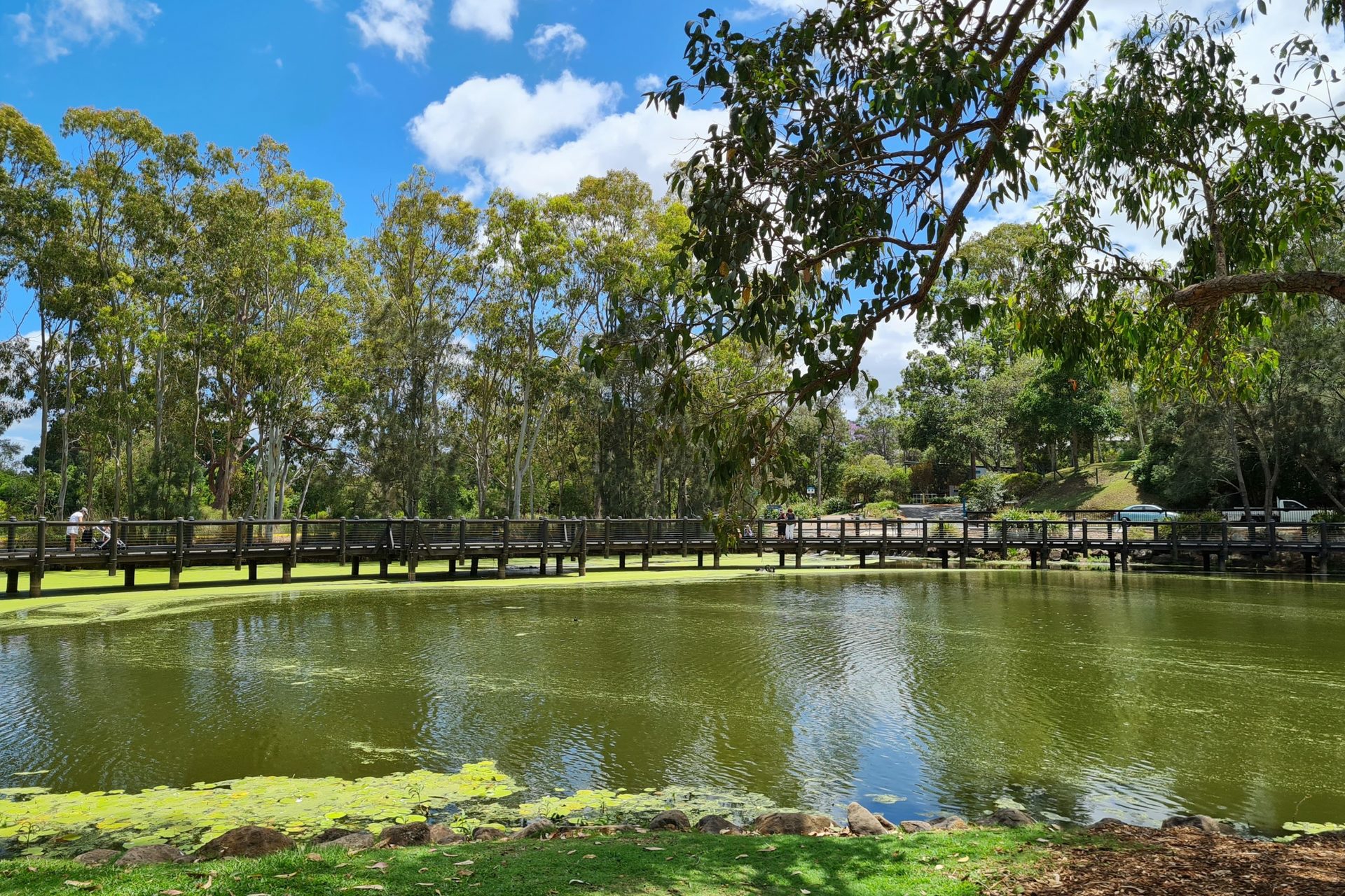 2/231 Benowa Road, BENOWA