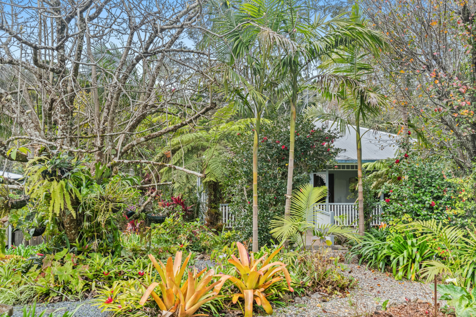 31 Lloyds Road, SPRINGBROOK