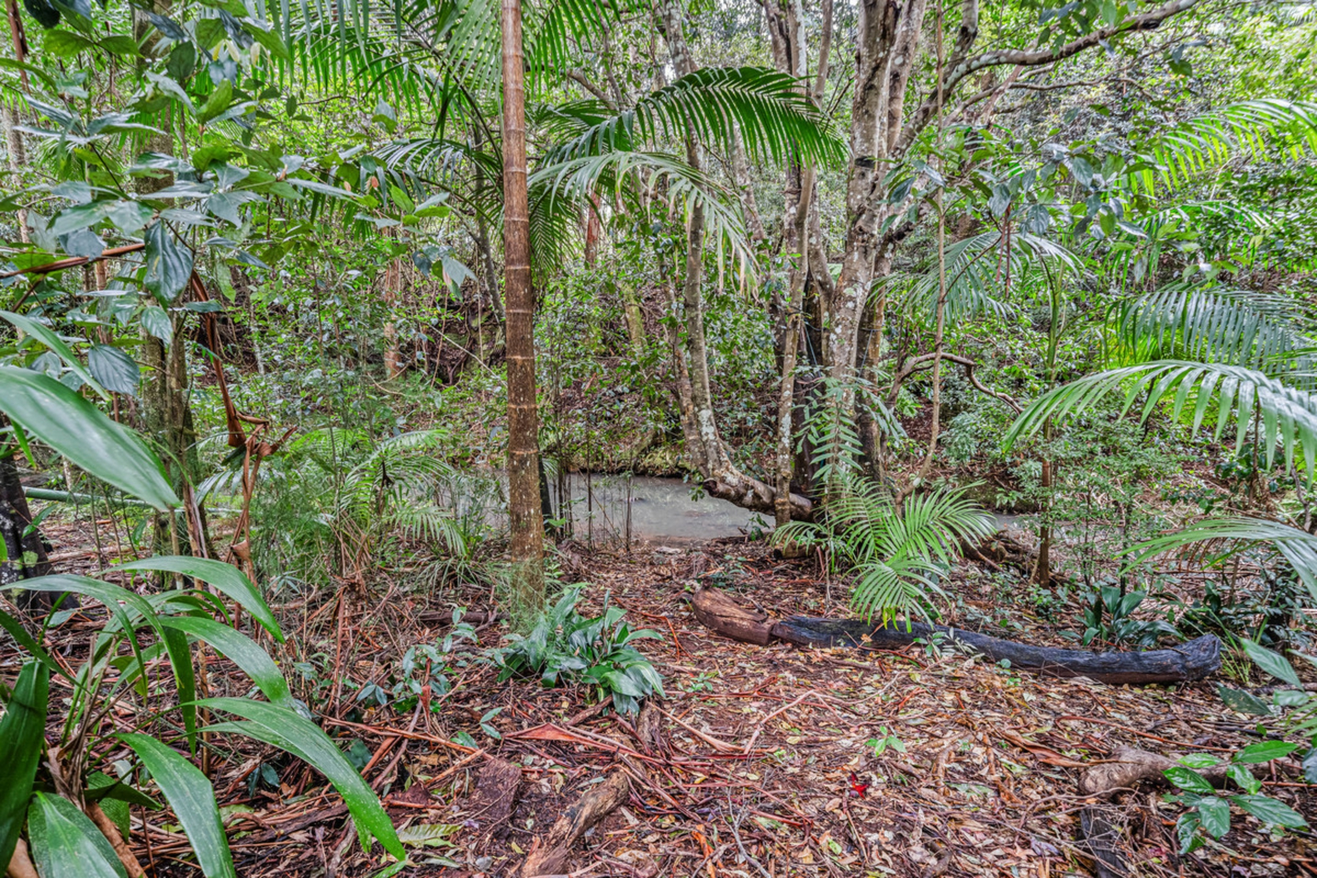 31 Lloyds Road, SPRINGBROOK