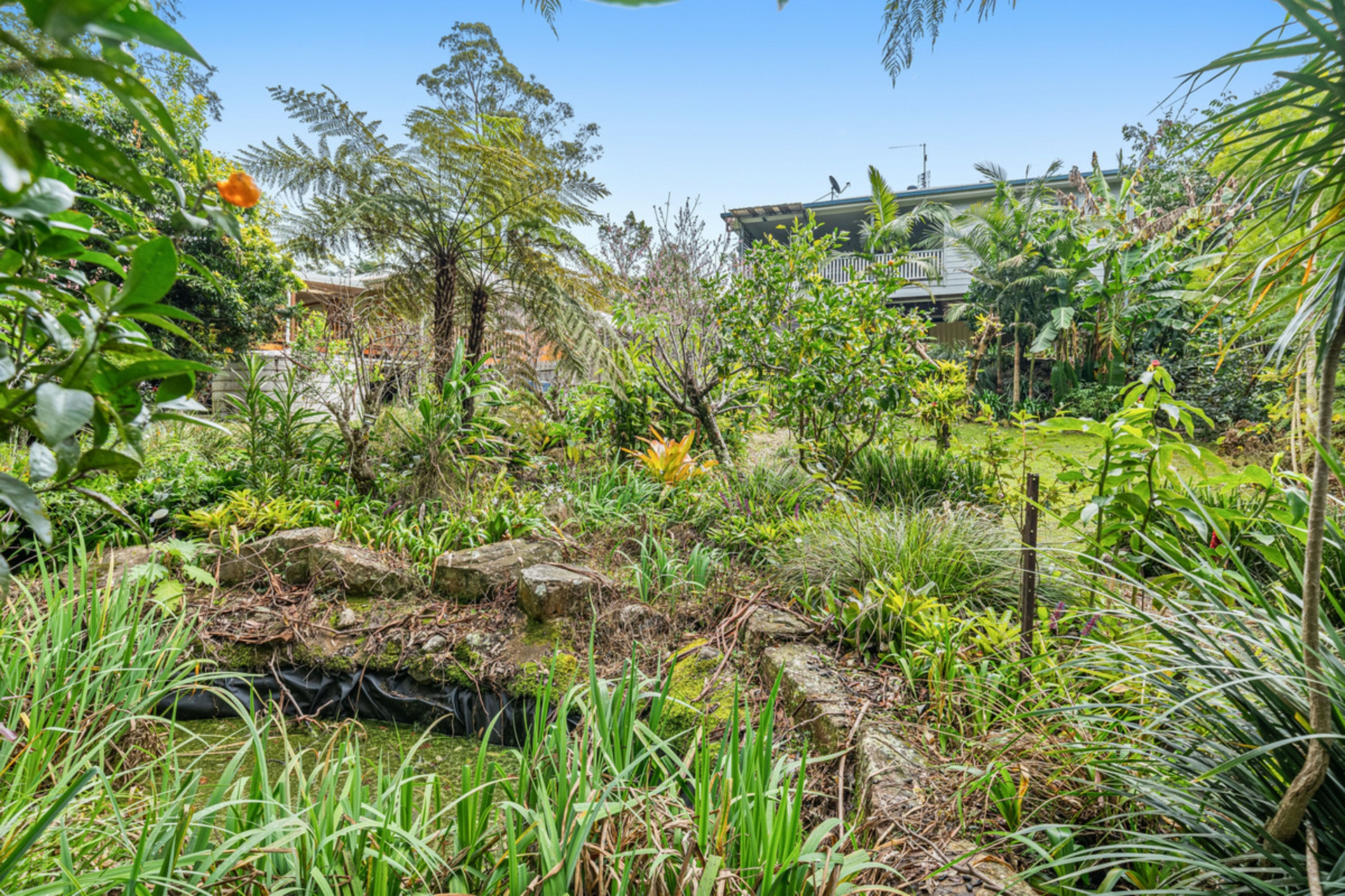 31 Lloyds Road, SPRINGBROOK