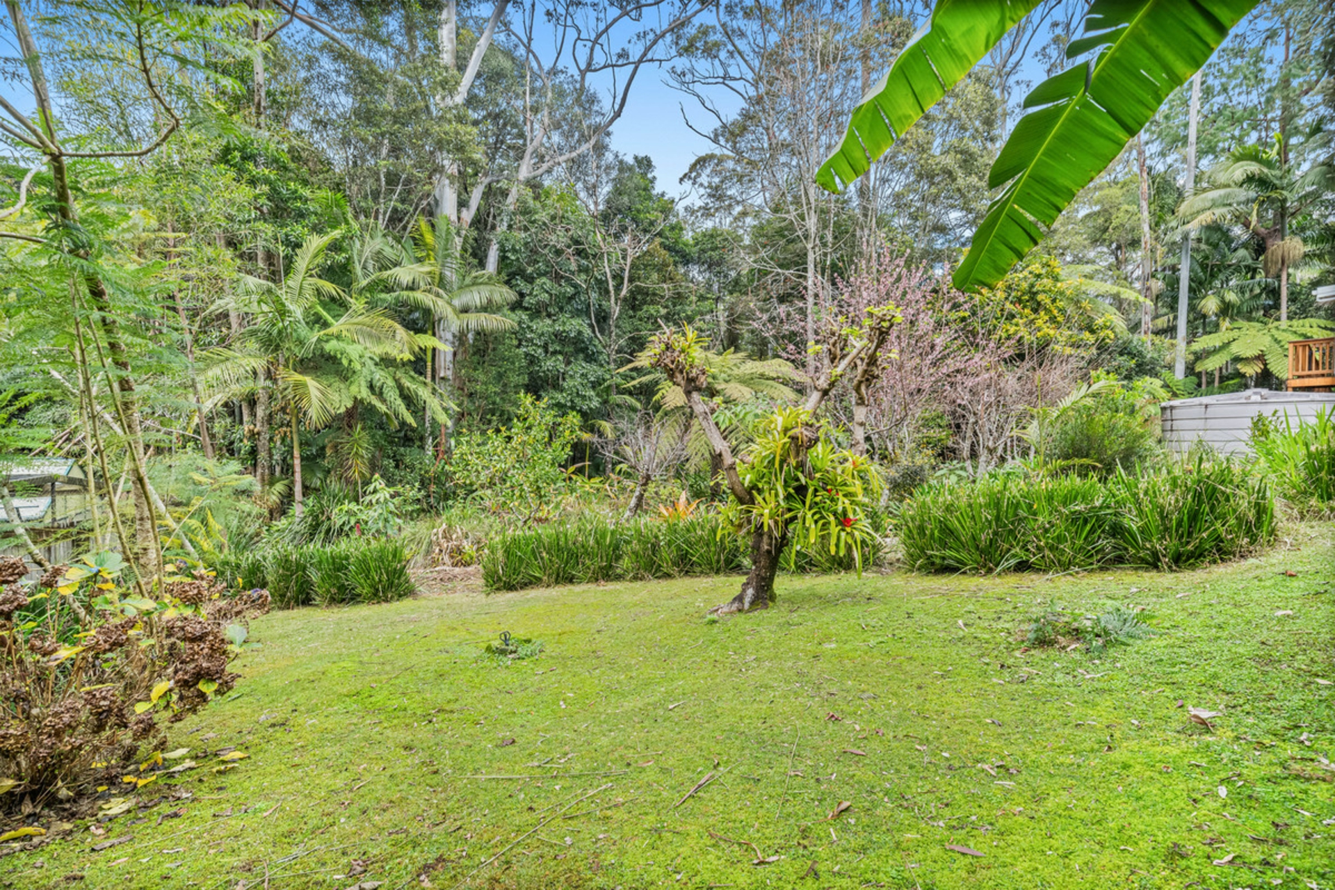 31 Lloyds Road, SPRINGBROOK