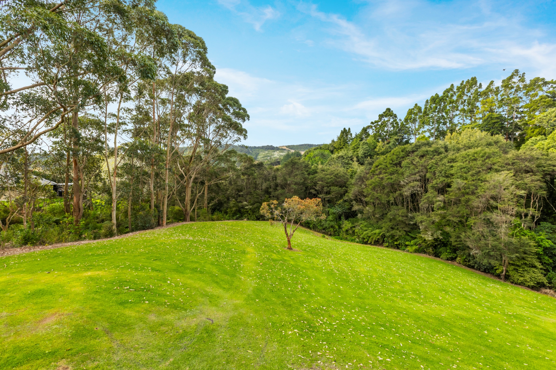 158 Judge Richardson Drive, OPAHEKE