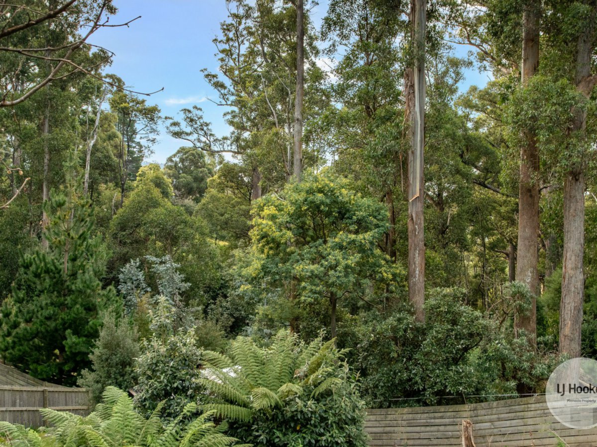 438 Strickland Avenue, SOUTH HOBART