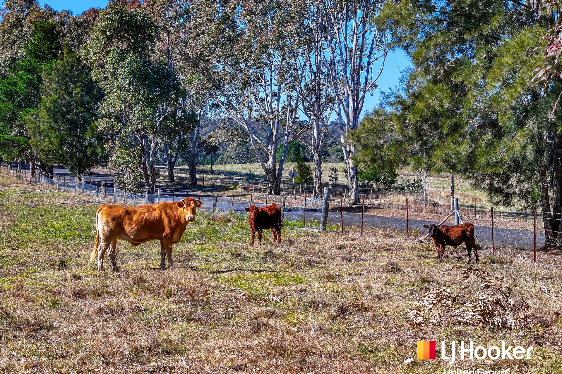 933 Mulgoa Road — photo 12 of 17
