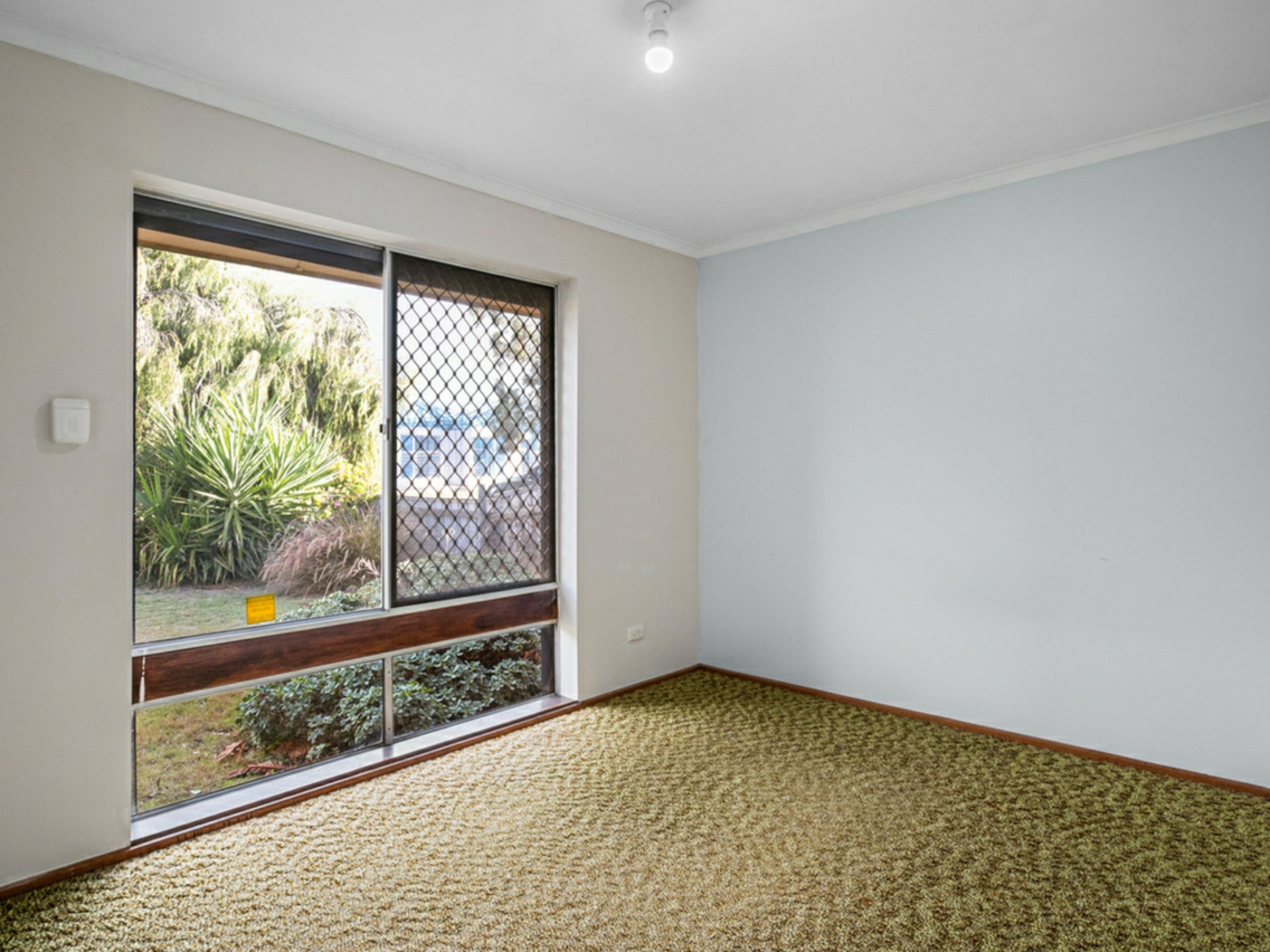 31 Wigham Road — photo 11 of 19