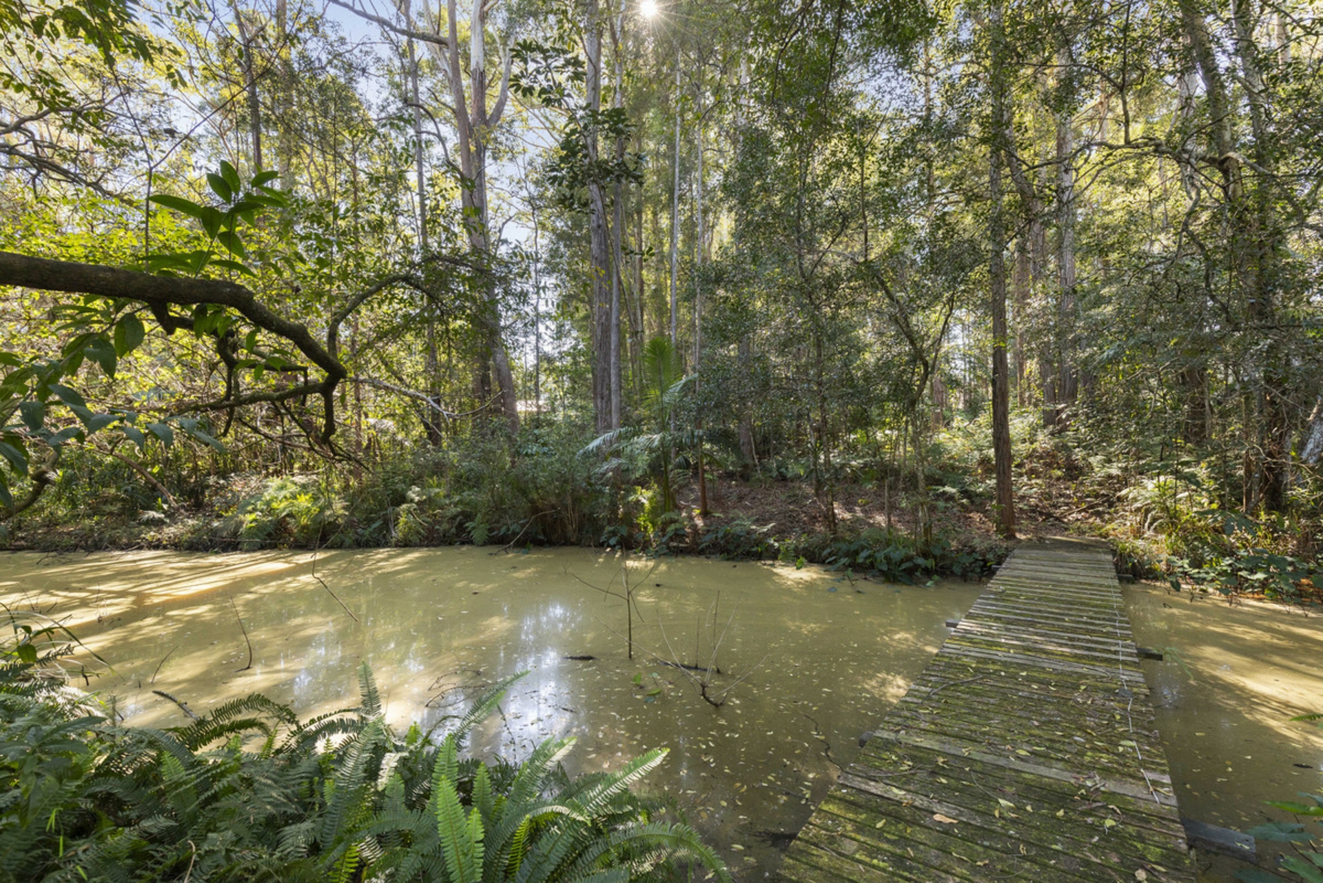 9 Bottlebrush Court — photo 8 of 29