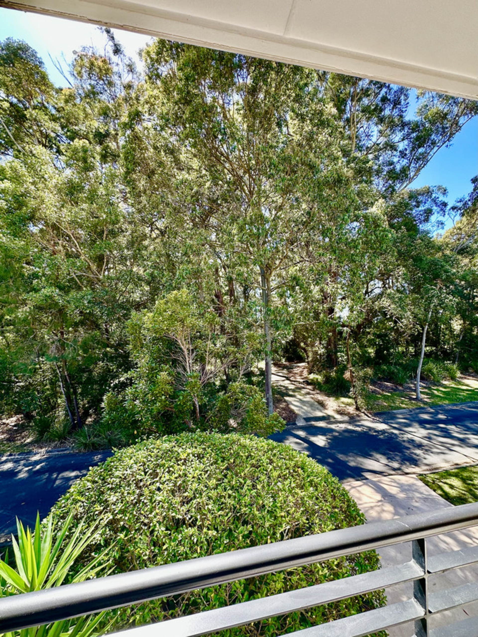 5 Tall Trees Way — photo 14 of 24